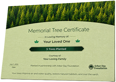 Plant Trees in Memory of Mark Sheldon Lewis